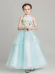 Girl's Birthday Princess Dress Puffy Evening Gown Autumn /Winter Performance Costume - Dorabear