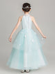 Girl's Birthday Princess Dress Puffy Evening Gown Autumn /Winter Performance Costume - Dorabear