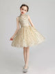 Girls Princess Dress Puffy Evening Gown Piano Performance Costume Flower Girl Wedding Dress - Dorabear