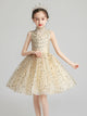 Girls Princess Dress Puffy Evening Gown Piano Performance Costume Flower Girl Wedding Dress - Dorabear