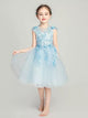 Girls Princess Dress Puffy Evening Gown Wedding Dress Piano Performance Costume - Dorabear