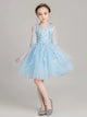 Girls Princess Dress Puffy Evening Gown Wedding Dress Piano Performance Costume - Dorabear