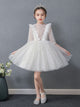 Girls Princess Dress Puffy Wedding Dress Flower Girl Dress Piano Performance Costume - Dorabear