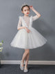 Girls Princess Dress Puffy Wedding Dress Flower Girl Dress Piano Performance Costume - Dorabear