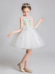 Girls Puffy Princess Dress Flower Girl Wedding Gown White Piano Performance Dress - Dorabear