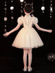 Girls' Catwalk Performance Costume Flower Girl Wedding Dress Princess Dress - Dorabear