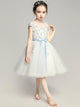 Girls' Evening Gown Fashionable Puffy Gauze Princess Dress Piano Performance Costume - Dorabear