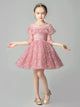 Girls' Evening Gown Flower Girl Princess Dress High-end Piano Performance Costume - Dorabear