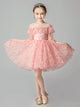 Girls' Evening Gown Flower Girl Princess Dress High-end Piano Performance Costume - Dorabear