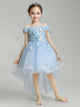 Girls' Evening Gown Flower Girl Wedding Dress Piano Performance Costume Princess Dress - Dorabear