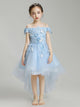 Girls' Evening Gown Flower Girl Wedding Dress Piano Performance Costume Princess Dress - Dorabear