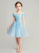 Girls' Evening Gown Flower Girl Wedding Dress Piano Performance Costume Princess Dress - Dorabear