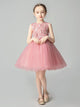 Girls' Evening Gown Princess Dress Catwalk Puffy Performance Costume - Dorabear