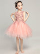 Girls' Evening Gown Princess Dress Flower Girl Pink Wedding Dress Piano Performance Costume - Dorabear