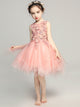 Girls' Evening Gown Princess Dress Flower Girl Pink Wedding Dress Piano Performance Costume - Dorabear