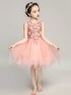 Girls' Evening Gown Princess Dress Flower Girl Pink Wedding Dress Piano Performance Costume - Dorabear