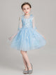 Girls' Evening Gown Puffy Yarn Long Princess Dress Flower Girl Wedding Dress - Dorabear