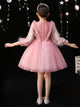 Girls'  Party Evening Gown Fashiion Show Performence Costume Puffy Princess Dress - Dorabear