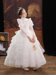 Girls' Princess Dress Banquet Gown Flower Girl Wedding Dress Long Sleeve Piano Performance Costume - Dorabear