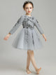 Girls' Princess Dress Puffy Gauze Evening Dress Grey Long-sleeved Performance Costume - Dorabear