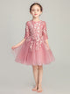 Girls' Puffy Gauze Dress Piano Performance Costume Walk Show Evening Gown Princess Dress - Dorabear