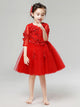 Girls' Walk Show Piano Performance Costume Flower Girl Puffy Gown Princess Dress - Dorabear