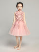 Long-sleeve Evening Gown Princess Dress Flower Kid's Fluffy Gauze Piano Performance Costume - Dorabear