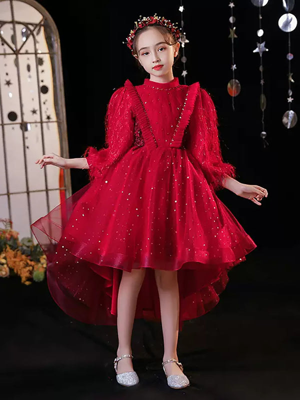 Long Sleeve Evening Gown Princess Dress Flower Girl's Wedding Dress Piano Performance Costume - Dorabear