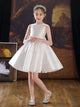 Piano Performance Costume Evening Gown Flower Girls Wedding Dress Princess Dress - Dorabear