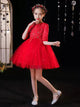 Princess Dress Girls' Evening Dress Luxury Autumn/Winter Performance Costume - Dorabear