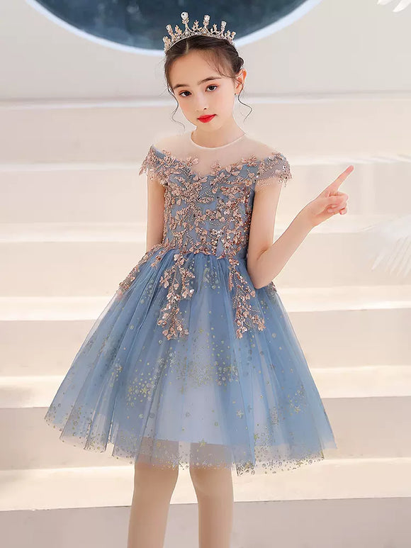 Princess Dress Girls' Evening Gown Autumn/Winter Performance Costume Flower Girls Wedding Dress - Dorabear