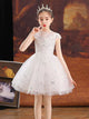 Princess Dress Girls' Evening Gown Autumn/Winter Performance Costume Flower Girls Wedding Dress - Dorabear