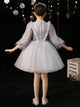 Princess Dress Puffy Evening Gown Catwalk Performance Costume Flower Girl Wedding Dress - Dorabear