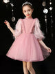 Princess Dress Puffy Evening Gown Catwalk Performance Costume Flower Girl Wedding Dress - Dorabear