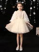 Puffy Princess Dress Girls' Evening Gown Flower Girls Wedding Dress Performance Costume - Dorabear