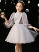 Puffy Princess Dress Girls' Evening Gown Flower Girls Wedding Dress Performance Costume - Dorabear